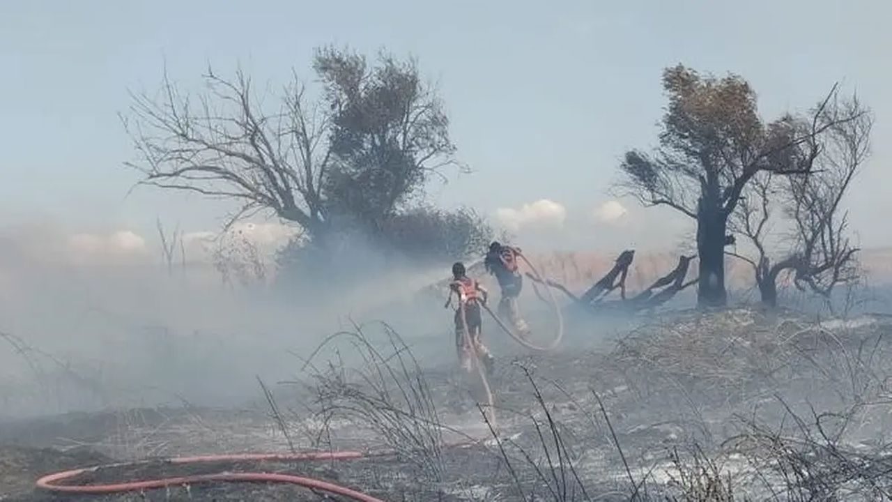 Bandırma’da arazi yangını kısa sürede söndürüldü